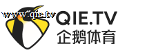 球探在线